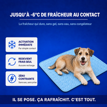 Charger l'image dans la galerie, Tapis Rafraîchissant Ovora - 2 pour 1