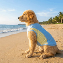 Charger l'image dans la galerie, Gilet Rafraîchissant pour chien & chat