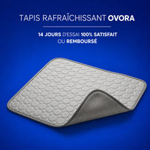 Charger l'image dans la galerie, Tapis Rafraîchissant Ovora - 2 pour 1