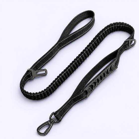 Laisse anti-traction amortissante