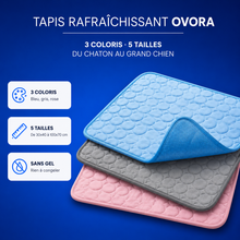 Charger l'image dans la galerie, Tapis Rafraîchissant Ovora - 2 pour 1
