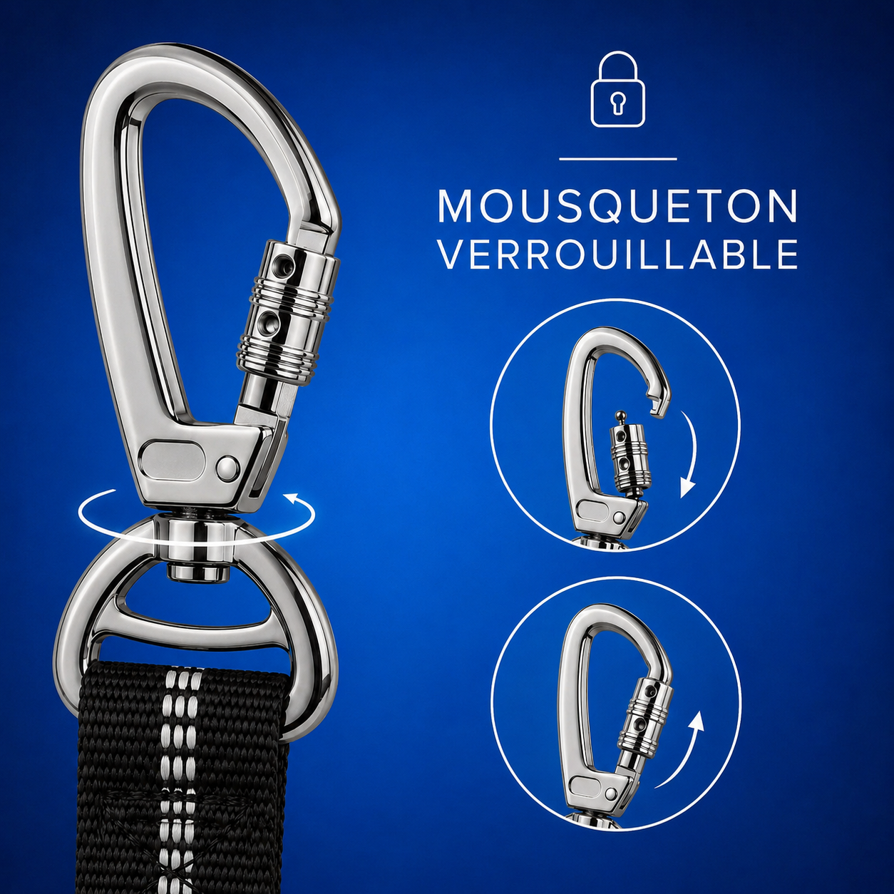 Laisse anti-traction amortissante