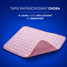 Charger l'image dans la galerie, Tapis Rafraîchissant Ovora - 2 pour 1
