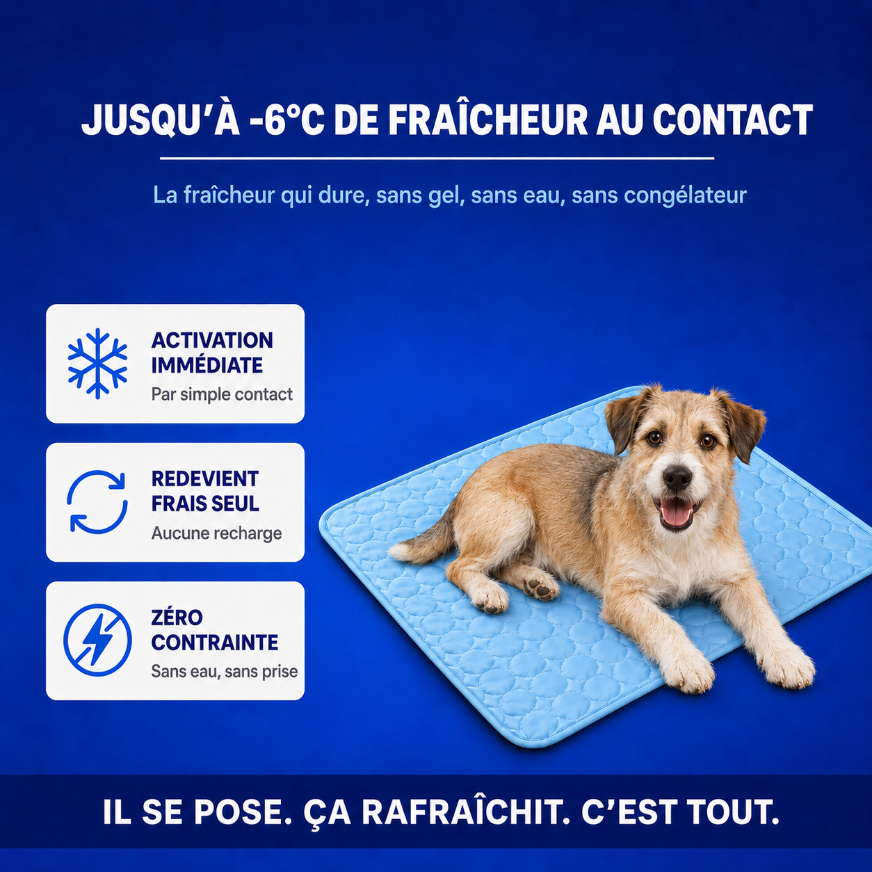 Tapis Rafraîchissant Ovora - 2 pour 1