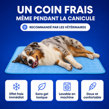 Charger l'image dans la galerie, Tapis Rafraîchissant Ovora - 2 pour 1
