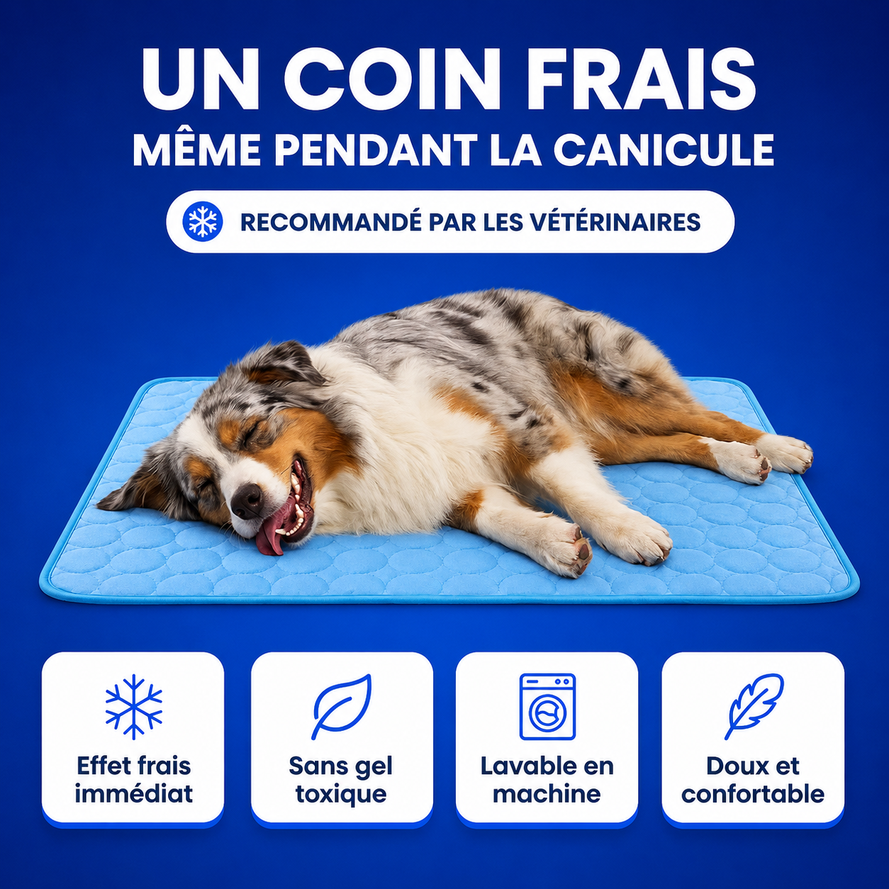 Tapis Rafraîchissant Ovora - 2 pour 1