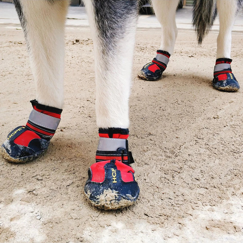 Chaussures de Protection pour Chien