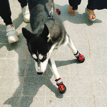 Charger l'image dans la galerie, Chaussures de Protection pour Chien

