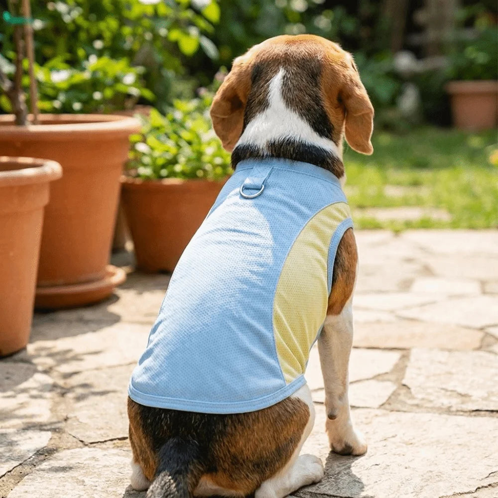 Gilet Rafraîchissant pour chien & chat