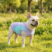 Charger l'image dans la galerie, Gilet Rafraîchissant pour chien &amp; chat
