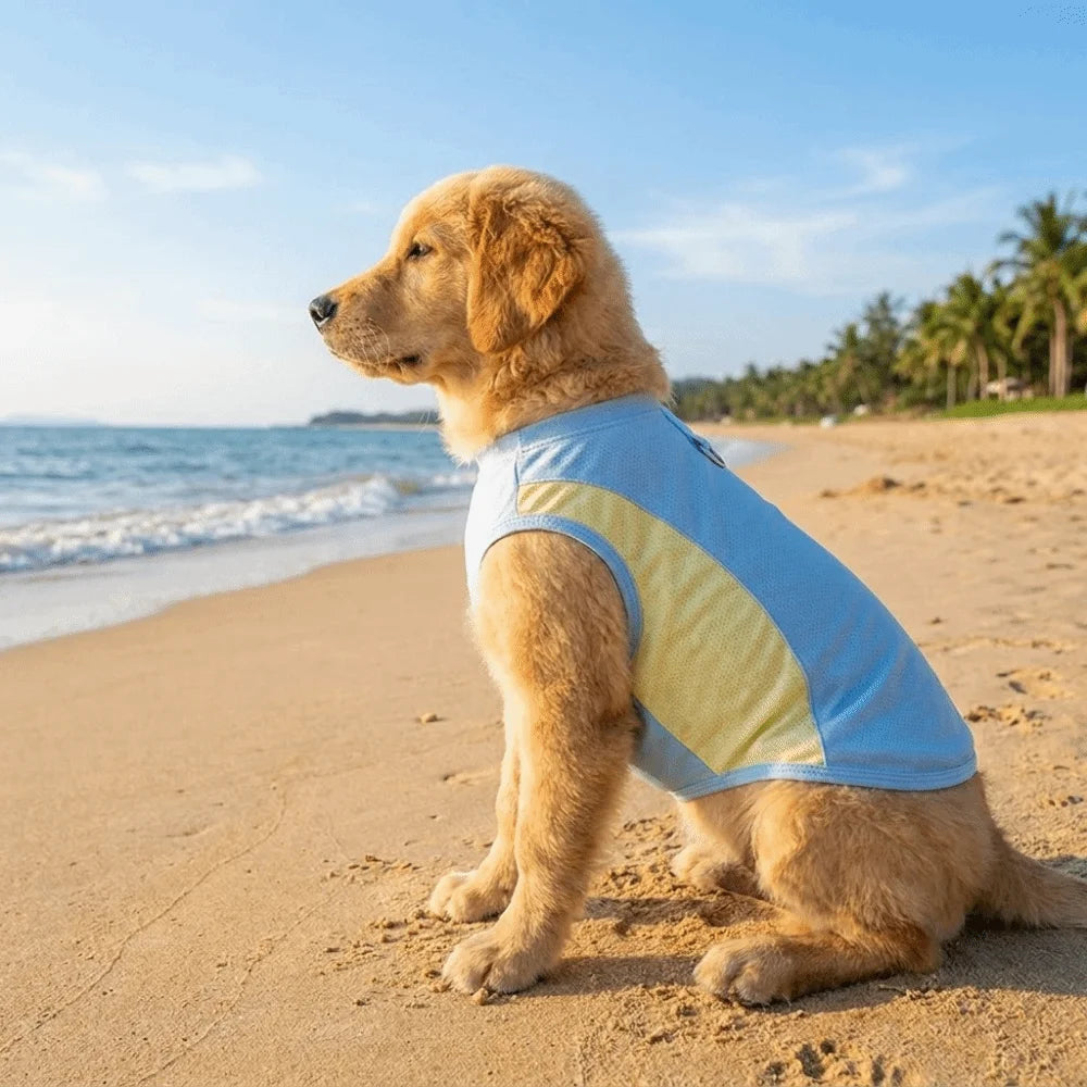 Gilet Rafraîchissant pour chien & chat