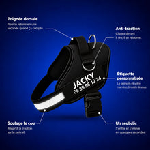 Charger l'image dans la galerie, Le Harnais Anti-Traction Ovora

