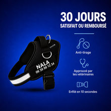 Charger l'image dans la galerie, Le Harnais Anti-Traction Ovora
